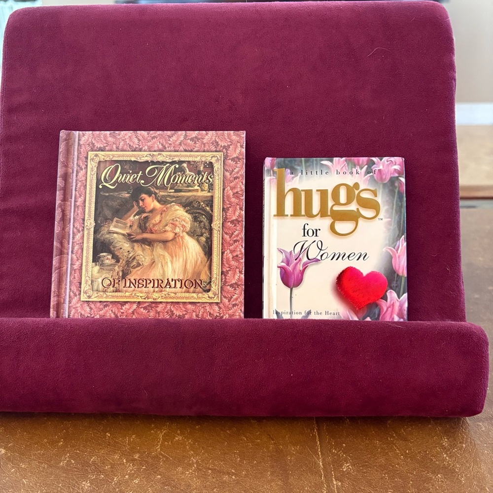 Little Books (2) Bundle Inspirational Quiet Moments & Hugs